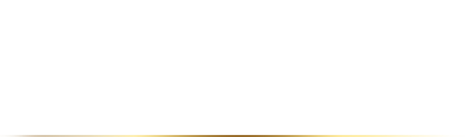 MegaPayzWallet