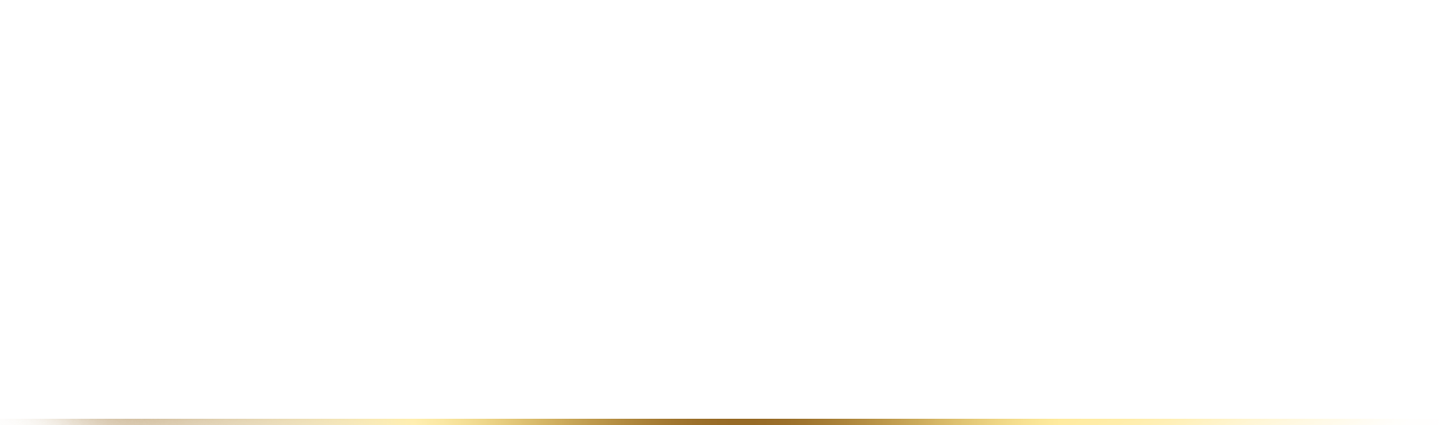 TURBO HAVALE